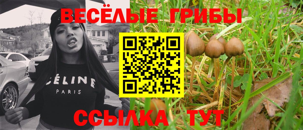 Усть-Илимск  Псилоцибиновые грибы ЛСД  даркнет сайт  Вход с VPN  Псилоцибиновые грибы мухоморы 